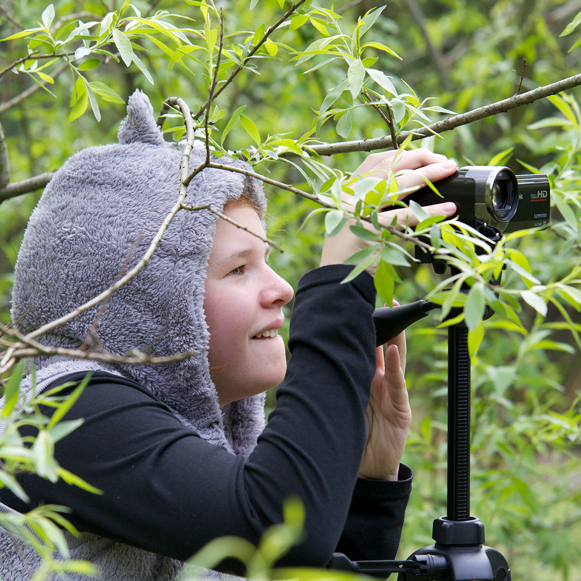 Osterhase hinter der Kamera